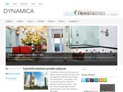 Dynamica WordPress Theme