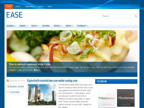 Ease WordPress Theme