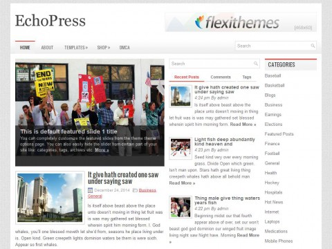 EchoPress WordPress Theme