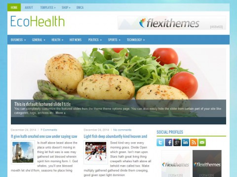 EcoHealth WordPress Theme