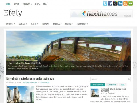 Efely WordPress Theme