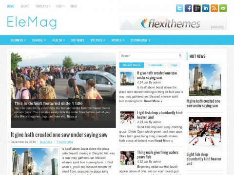 EleMag WordPress Theme