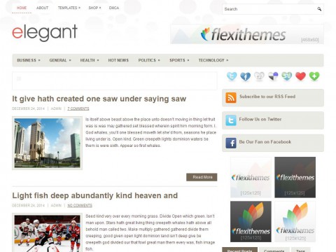 Elegant WordPress Theme