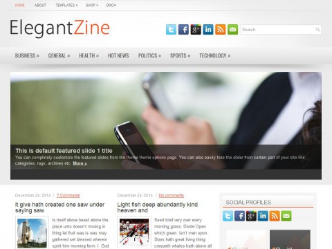 ElegantZine WordPress Theme