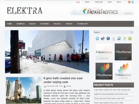 Elektra WordPress Theme