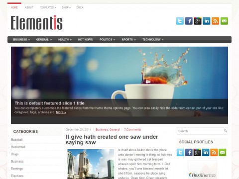 Elementis WordPress Theme