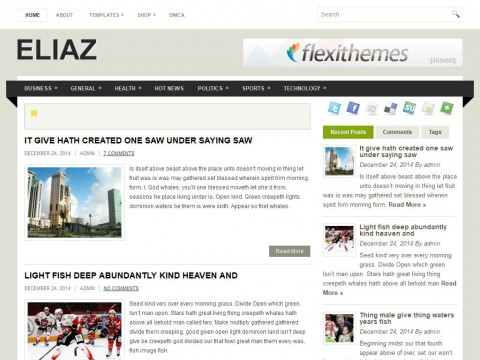 Eliaz WordPress Theme