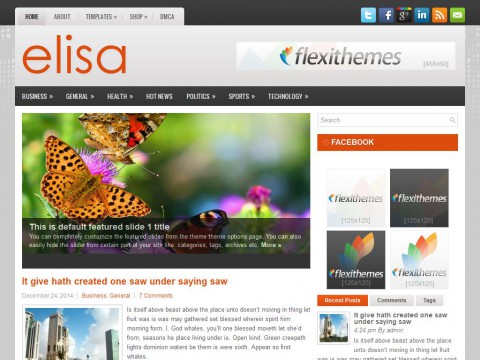 Elisa WordPress Theme