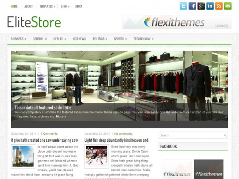 EliteStore WordPress Theme