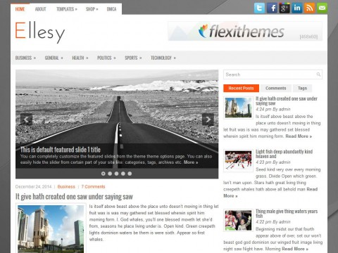 Ellesy WordPress Theme