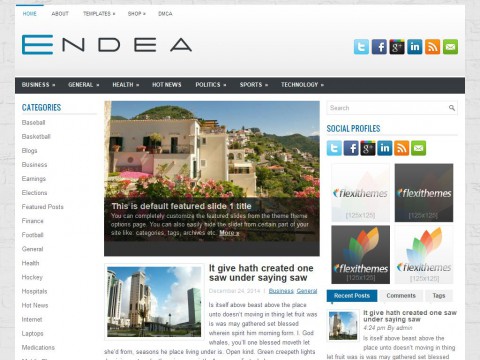 Endea WordPress Theme