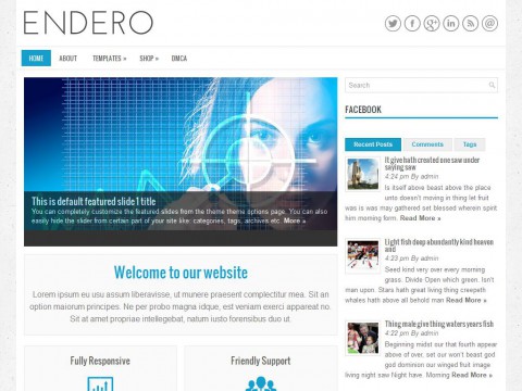 Endero WordPress Theme