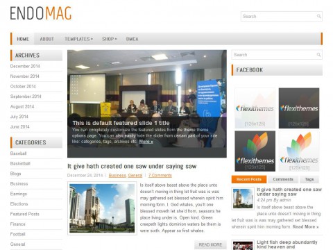 EndoMag WordPress Theme