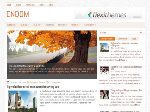 Endom WordPress Theme