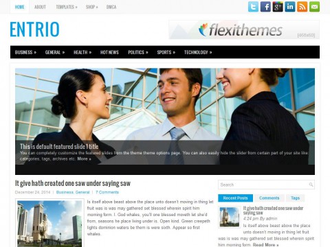 Entrio WordPress Theme