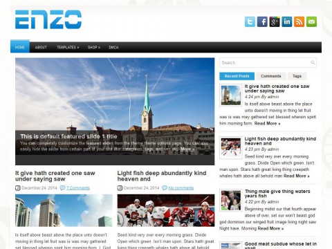 Enzo WordPress Theme