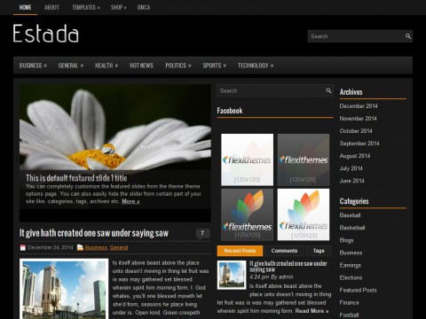 Estada WordPress Theme