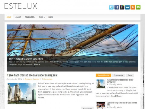 Estelux WordPress Theme