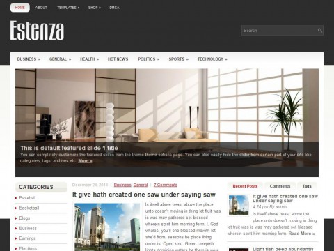 Estenza WordPress Theme