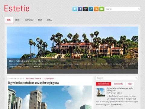 Estetie WordPress Theme