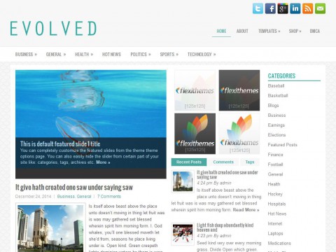 Evolved WordPress Theme