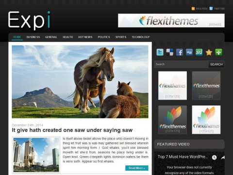 Expi WordPress Theme