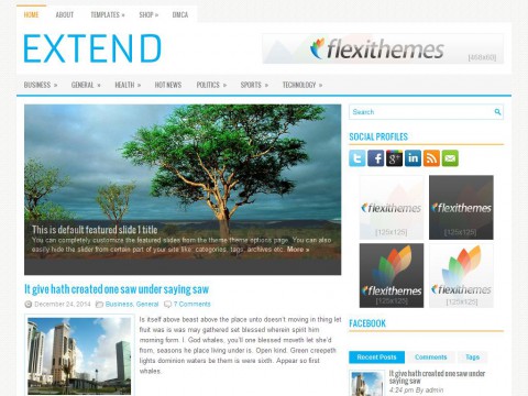 Extend WordPress Theme