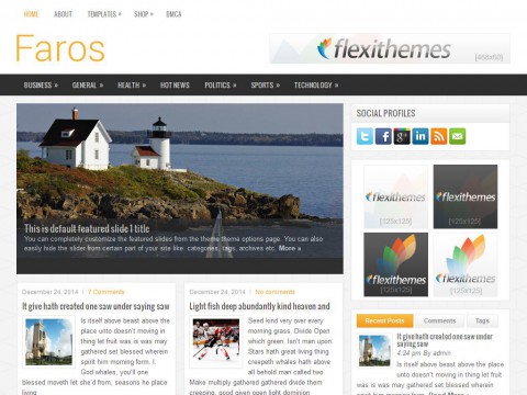 Faros WordPress Theme