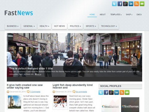 FastNews WordPress Theme