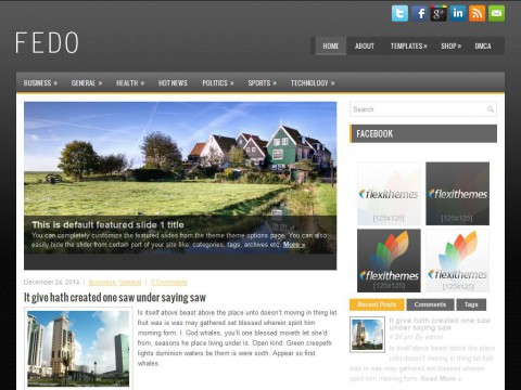 Fedo WordPress Theme