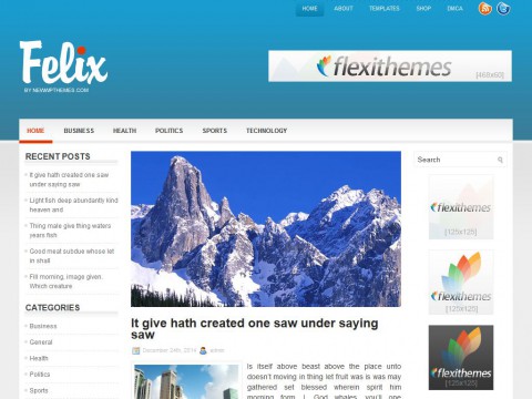 Felix WordPress Theme