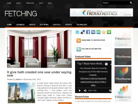 Fetching WordPress Theme