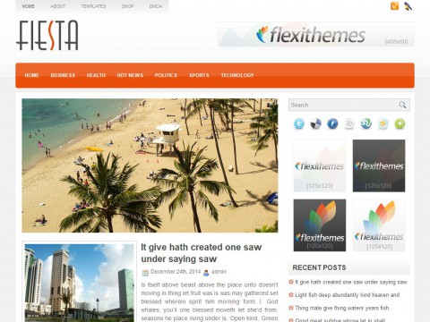 Fiesta WordPress Theme