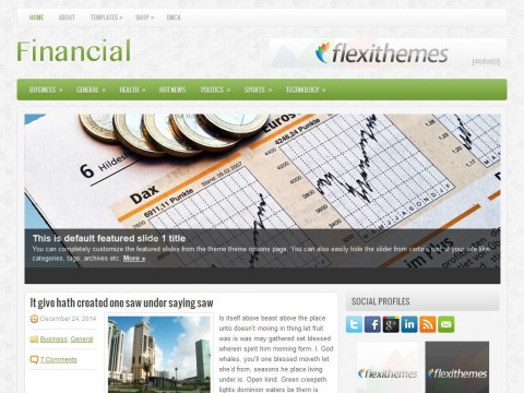 Financial WordPress Theme