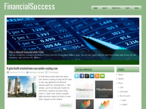 FinancialSuccess WordPress Theme