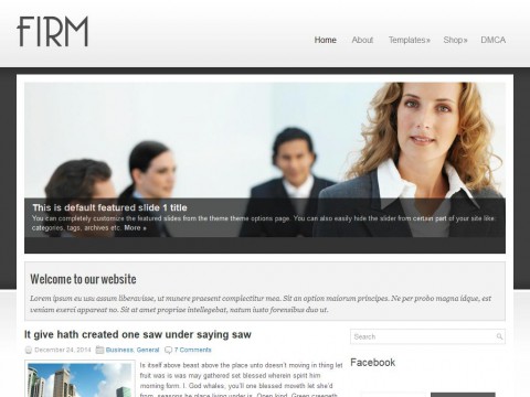 Firm WordPress Theme