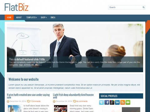 FlatBiz WordPress Theme