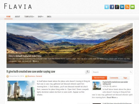 Flavia WordPress Theme