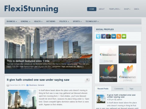 FlexiStunning WordPress Theme