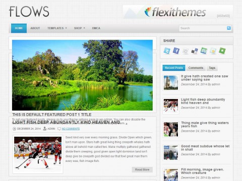 Flows WordPress Theme