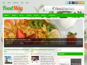 FoodMag WordPress Theme