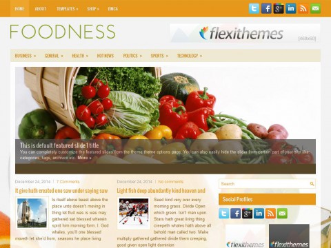 Foodness WordPress Theme