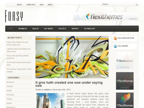 Forsy WordPress Theme