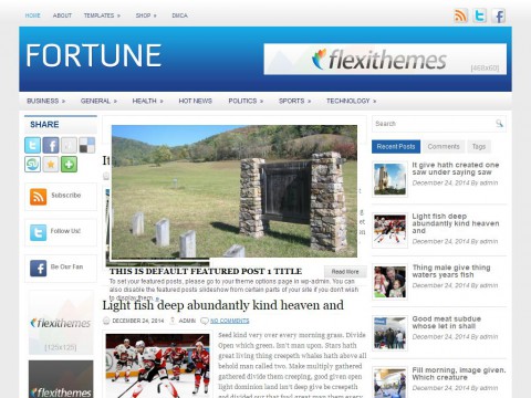 Fortune WordPress Theme