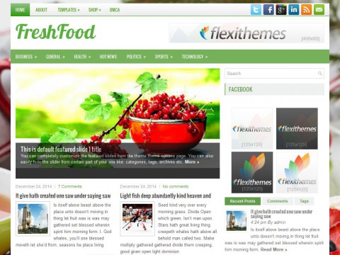 FreshFood WordPress Theme