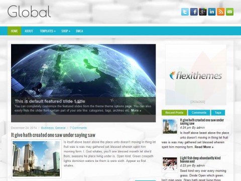 Global WordPress Theme