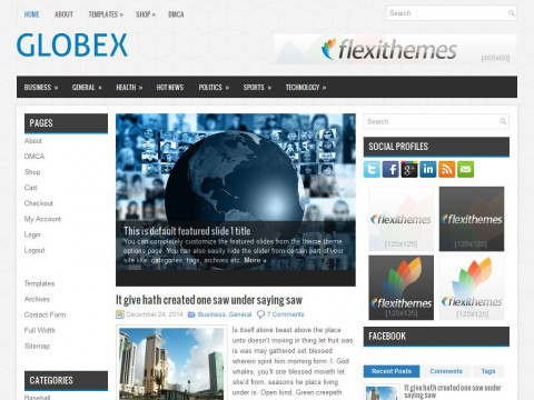 Globex WordPress Theme