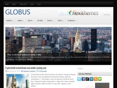 Globus WordPress Theme