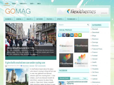 GoMag WordPress Theme