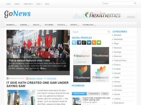 GoNews WordPress Theme